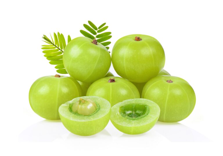 Indian-Gooseberry-Amla-Health-Benefits-Uses-and-Potential-Side-Effects-www.mend_.zone-Mend-Zone