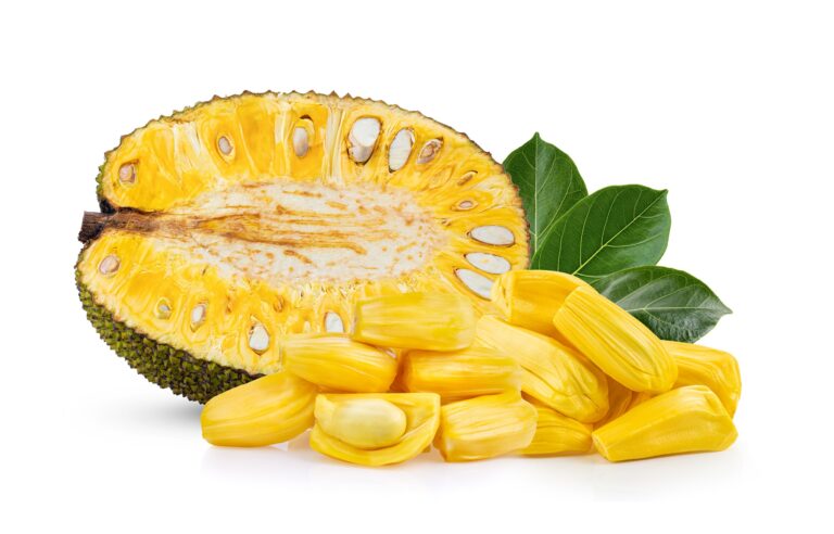 Jackfruit-Fruit-Health-Benefits-Nutrition-Facts-Potential-Side-Effects-and-Uses-med-zone