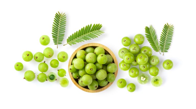 Amla (Indian gooseberry) The Ayurvedic Elixir for Radiant Health