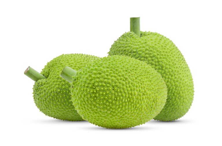 Breadfruit Health Benefits, Nutrition Facts, Potential Side Effects, and Uses By mend.zone