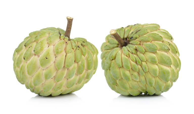 Custard Apple A Nourishing Boon for Pregnant Women by mend.zone