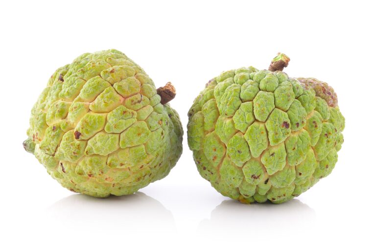 Custard Apple During Pregnancy, #CustardAppleForPregnancy, #PrenatalNutrition, #HealthyMoms, #Mendzone, #HealthWithMendzone