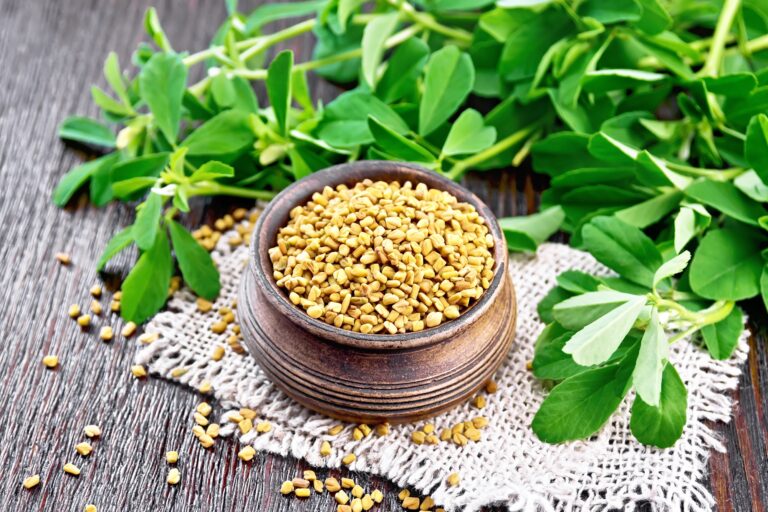 Fenugreek (Methi) Your Heart's Best Friend and Weight-Loss Ally