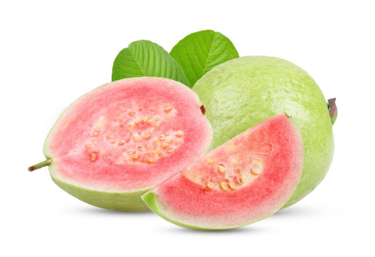 Guava Health Benefits, Nutrition Facts, Potential Side Effects, and Uses by mend.zone