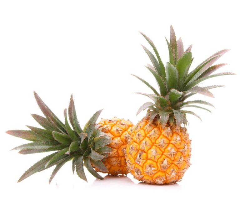 Pineapple Health Benefits, Nutrition Facts, Potential Side Effects, and Uses, mend.zone