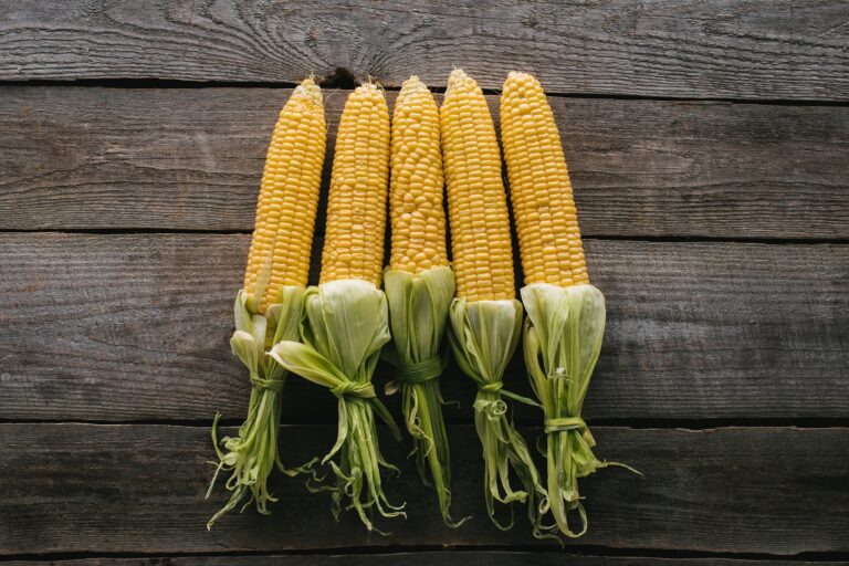 Sweet Corn The Nutritional Powerhouse That's More Than Just a Summer Treat