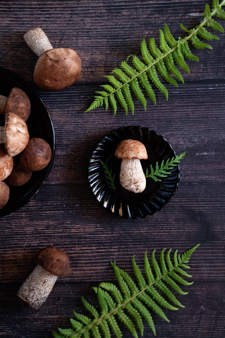 7 Amazing Mushroom Benefits For Our Health