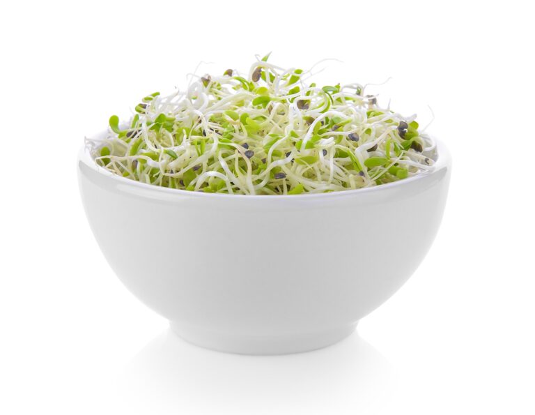 Alfalfa Sprouts Health Benefits, Nutrition Facts, and Potential Side Effects, mend.zone