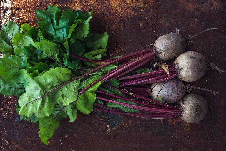 Beetroot Leaves (Chukandar ke Patte) Health Benefits, Nutrition Facts, and Potential Side Effects, mend.zone.