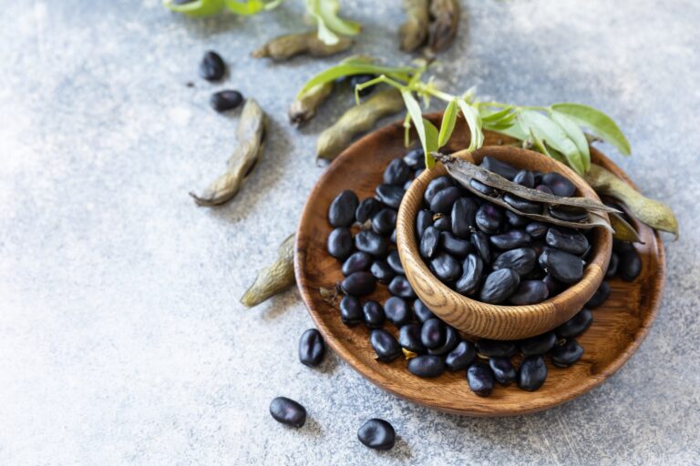 Black Beans: The Nutritional Powerhouses Packing a Punch