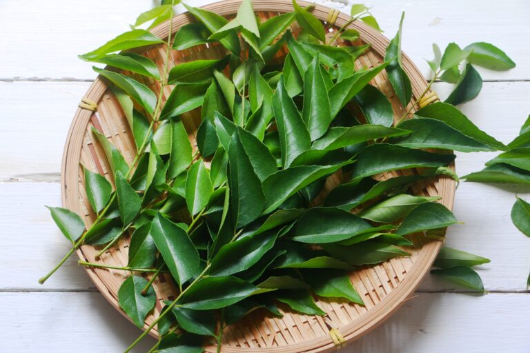 Boost Your Mornings with Curry Leaves Benefits of Eating Them on an Empty Stomach by mend.zone