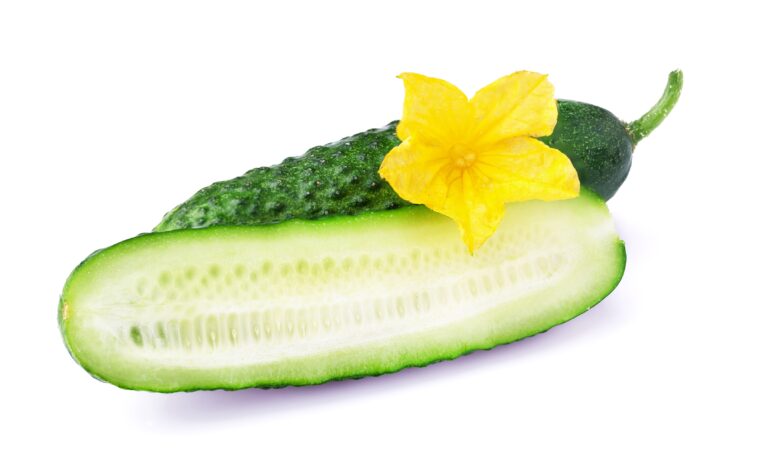 Cucumbers - health benefits Purpose, Preparation, Health Benefits, and FAQs