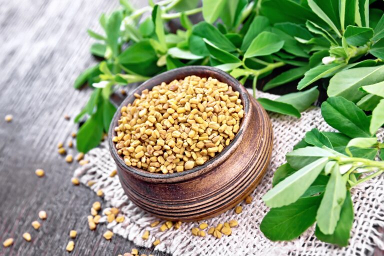 Fenugreek-health benefits Purpose, Health Benefits, and FAQs