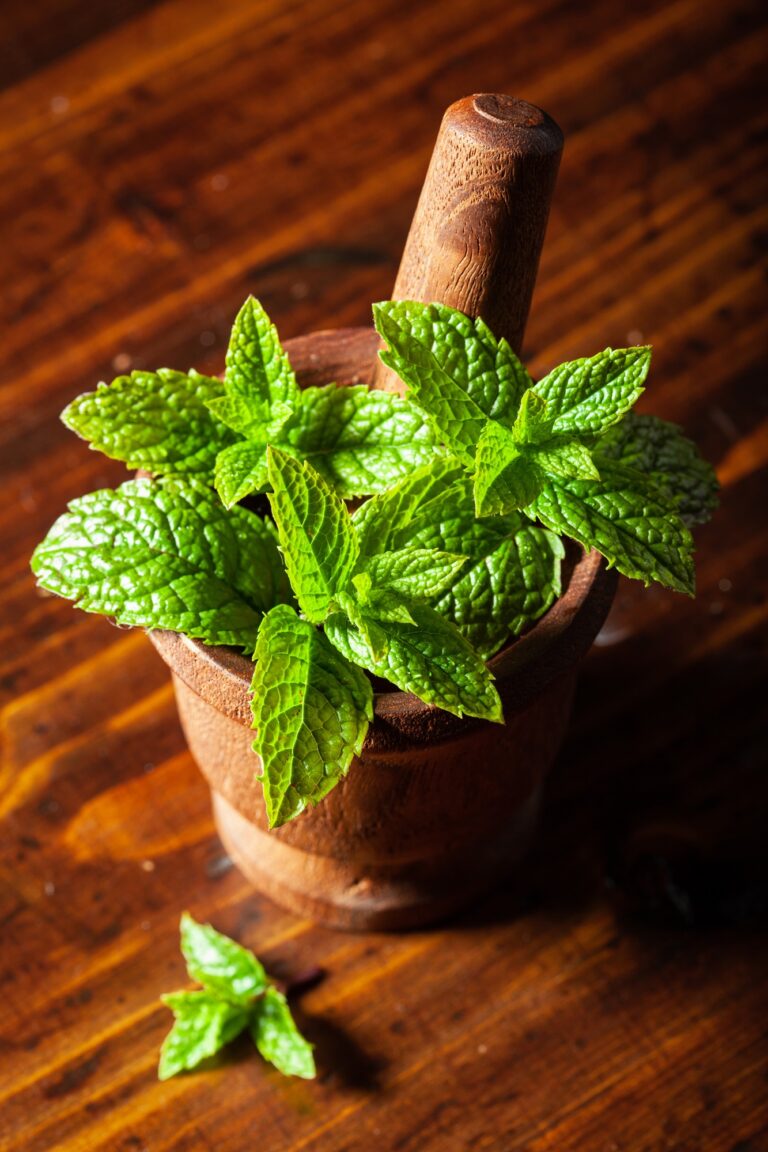 Peppermint-Health Benefits Purpose, Health Benefits, and FAQs