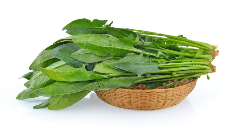 Spinach (Palak): Health Benefits, Nutrition Facts, and Potential Side Effects. mend.zone online health checkup and blood test booking platform