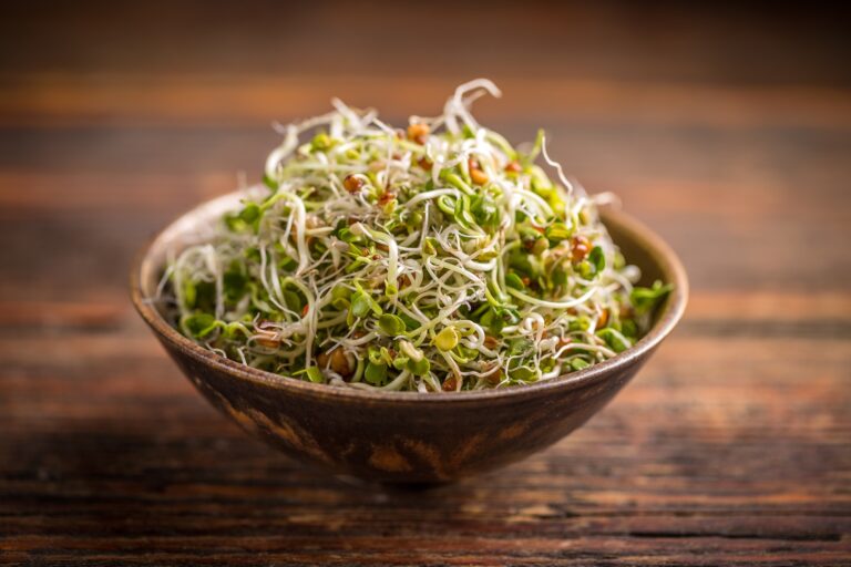 Sprouts Health Benefits, Nutrition Facts, and Potential Side Effects