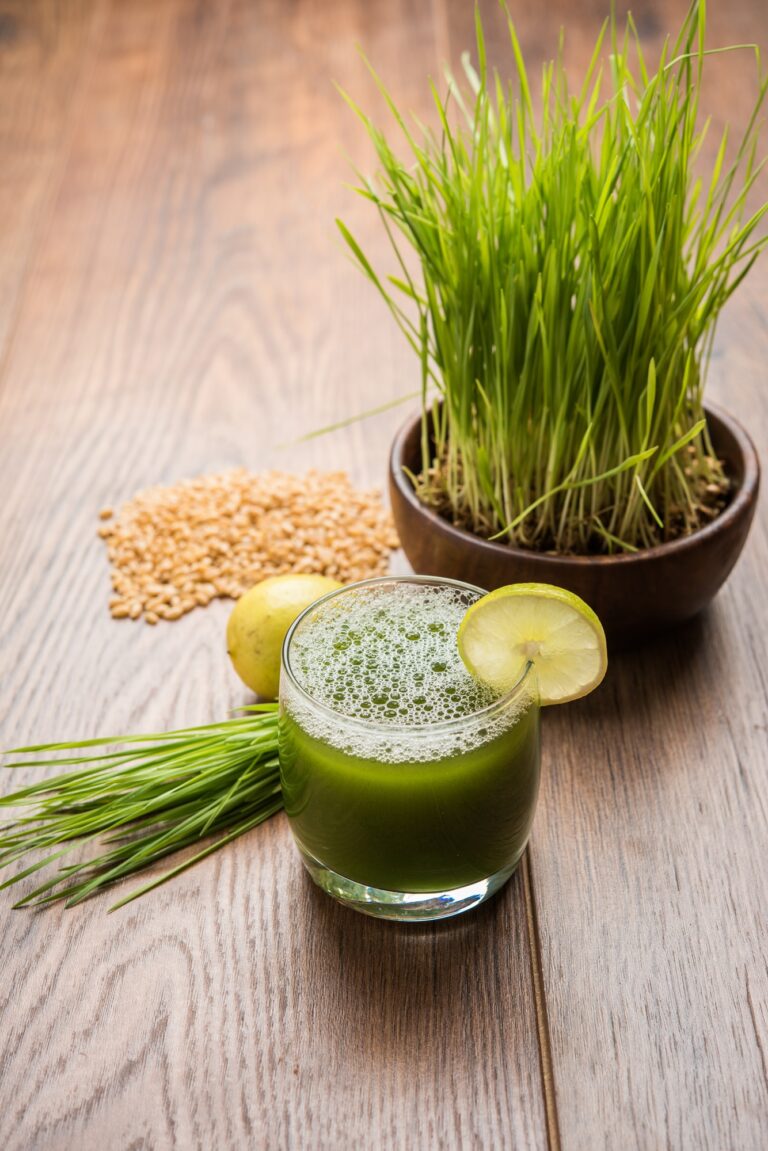 Wheatgrass Nature's Emerald Elixir for Health and Vitality