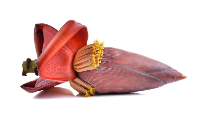 Banana Flower Benefits For Male & Female