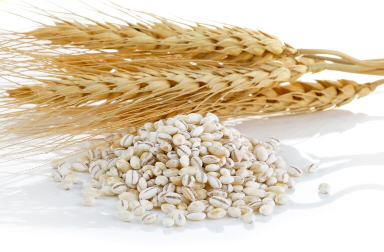 Barley Health Benefits, Nutritional Value, and Potential Side Effects, mend.zone