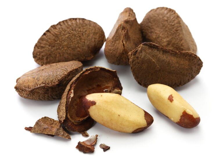 Brazil Nuts The Amazonian Superfood with Powerful Health Benefits