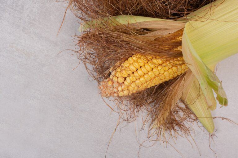 Corn Silk 30 Amazing Health Benefits