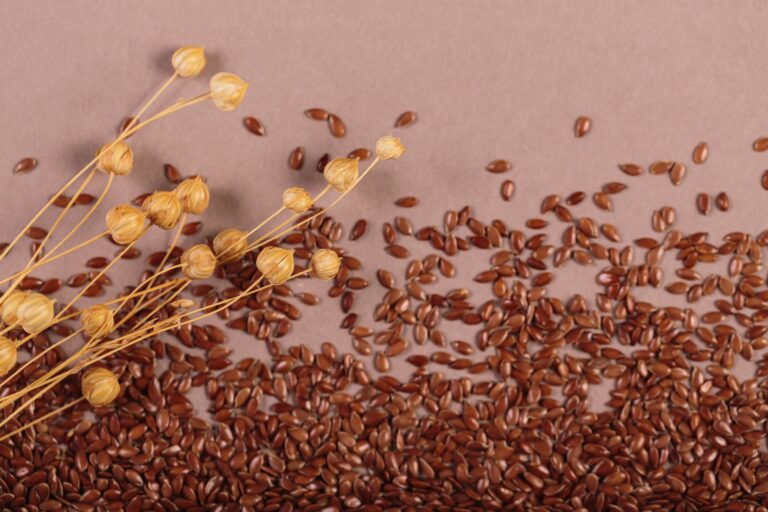 Flaxseeds Tiny Seeds, Mighty Health Benefits