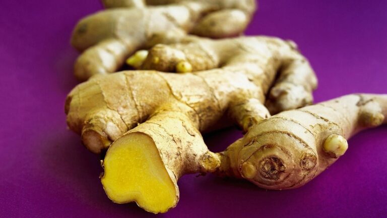 Ginger: Health Benefits, Purpose, FAQs, and Potential Side Effects