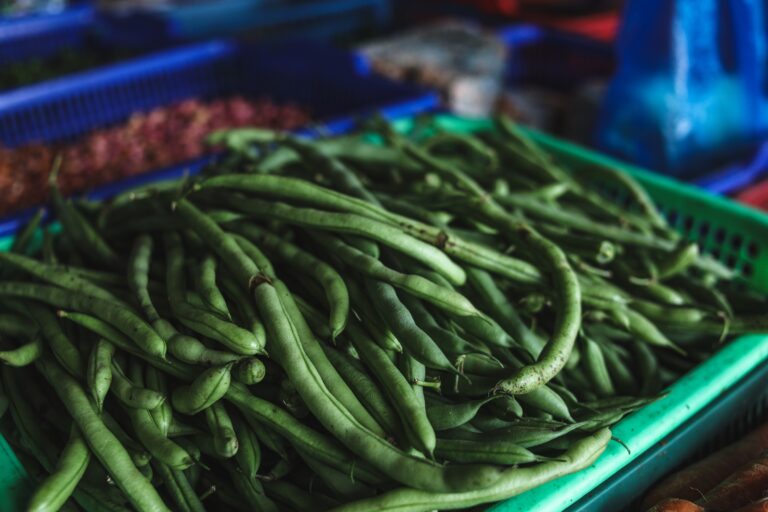 Green Beans (Hari Phali) Health Benefits, Nutritional Value, and Potential Side Effects