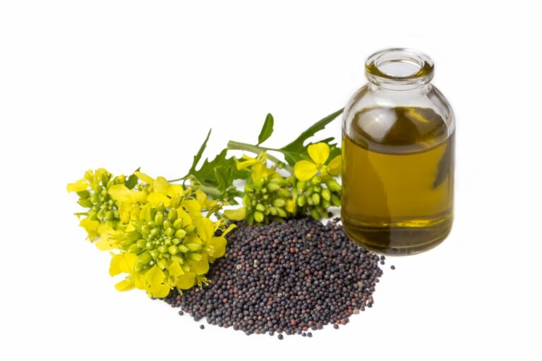 Health Benefits of Mustard Oil Uses And Its Potential Side Effects