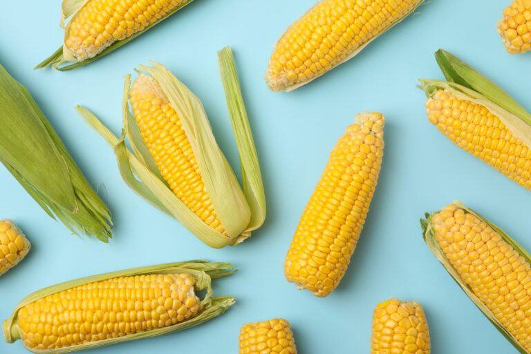 Is Corn Heat or Cold for the Body Health Benefits and Potential Side Effects