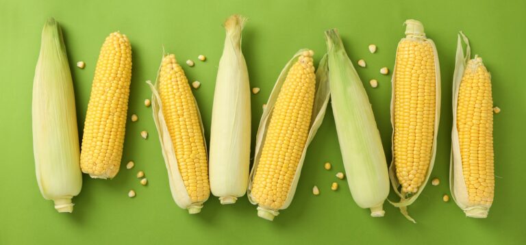 Is Sweet (Baby) Corn Hot or Cold for the Body, mend.zone