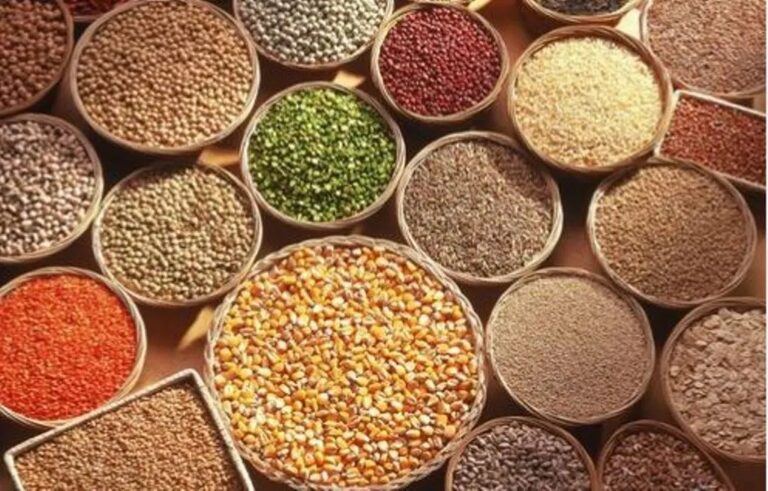 Millets The Ancient Grain with Modern Health Benefits