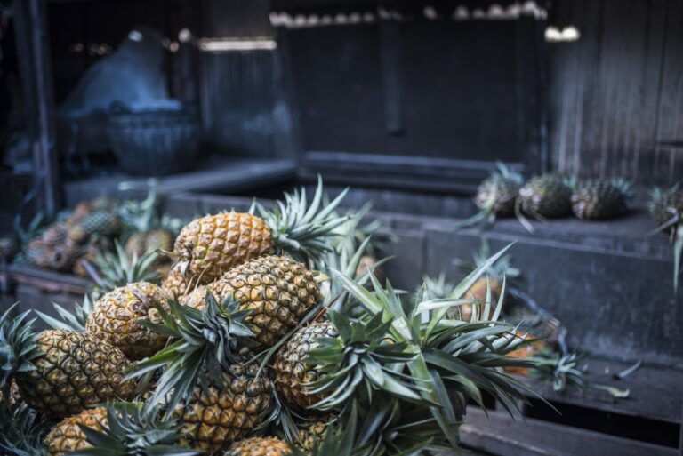 Pineapple A Tropical Treat with a Wealth of Health Benefits