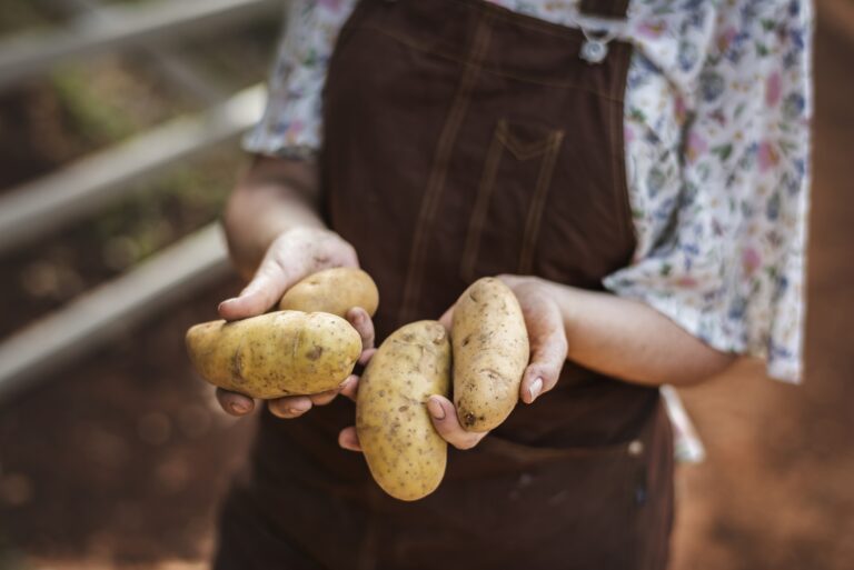 Potatoes (Aloo) Health Benefits, Nutritional Value, and Potential Side Effects