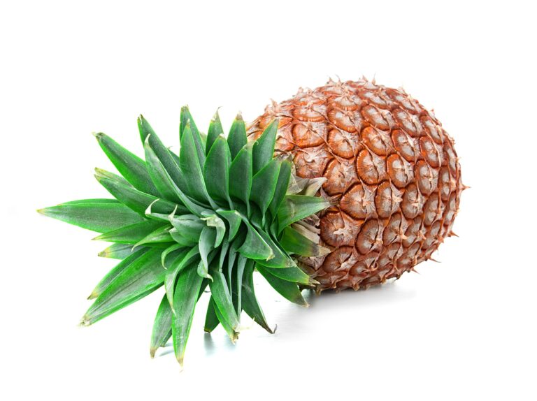 Potential Side Effects of Pineapple Navigating the Sweet and Tangy Fruit with Caution, mend.zone