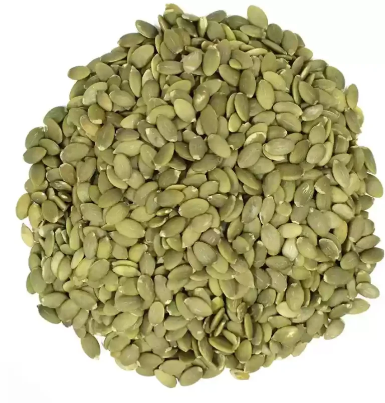 Pumpkin Seeds Tiny Seeds, Mighty Benefits - A Nutritional Powerhouse for Optimal Health, mend.zone