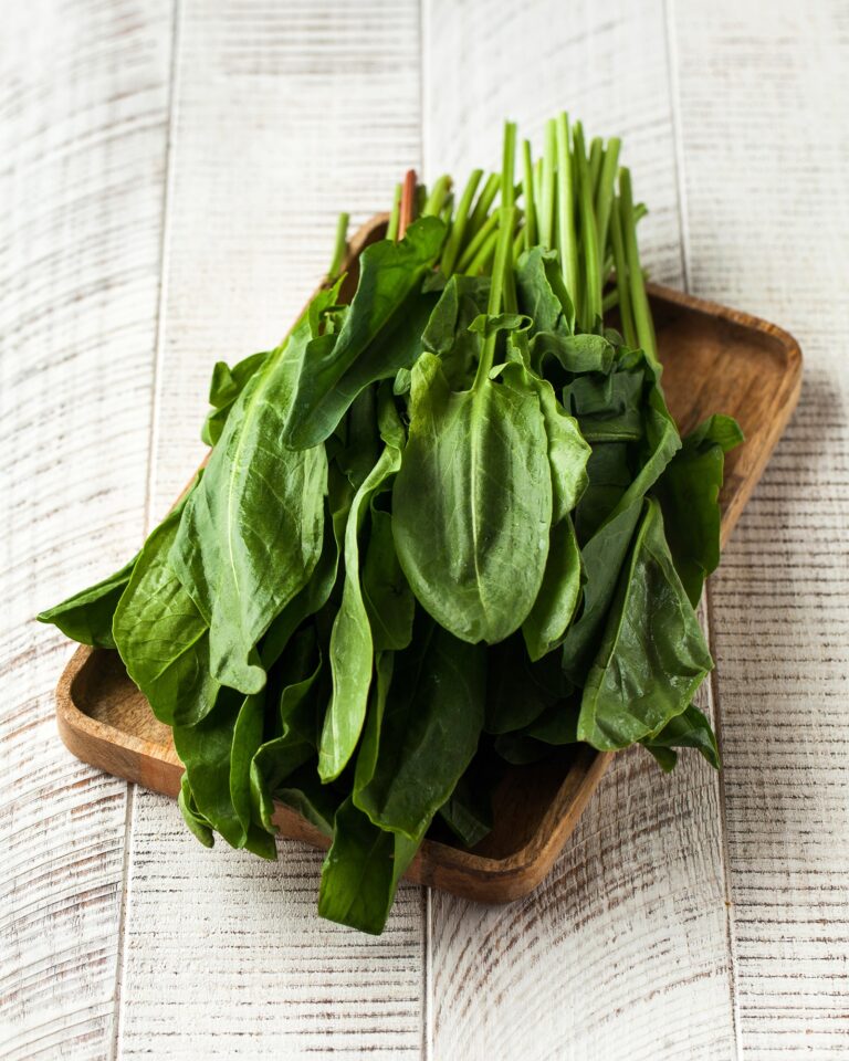 Spinach A Nutritional Powerhouse with Amazing Health Benefits