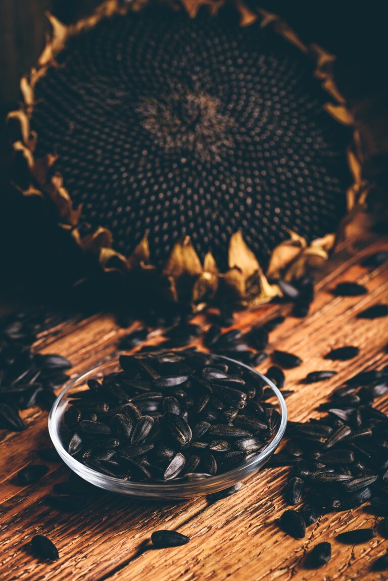 Sunflower Seeds Tiny Treasures of Nutrition for a Healthier You