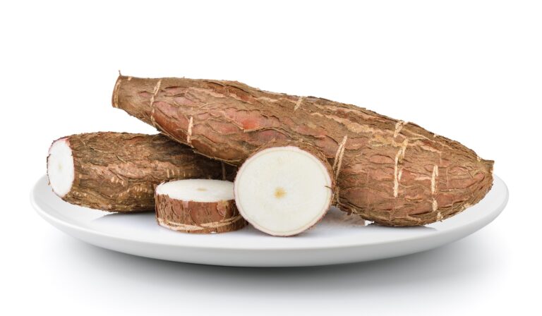 Tapioca or Cassava Health Benefits, Nutrition Facts, and Potential Side Effects, mend.zone