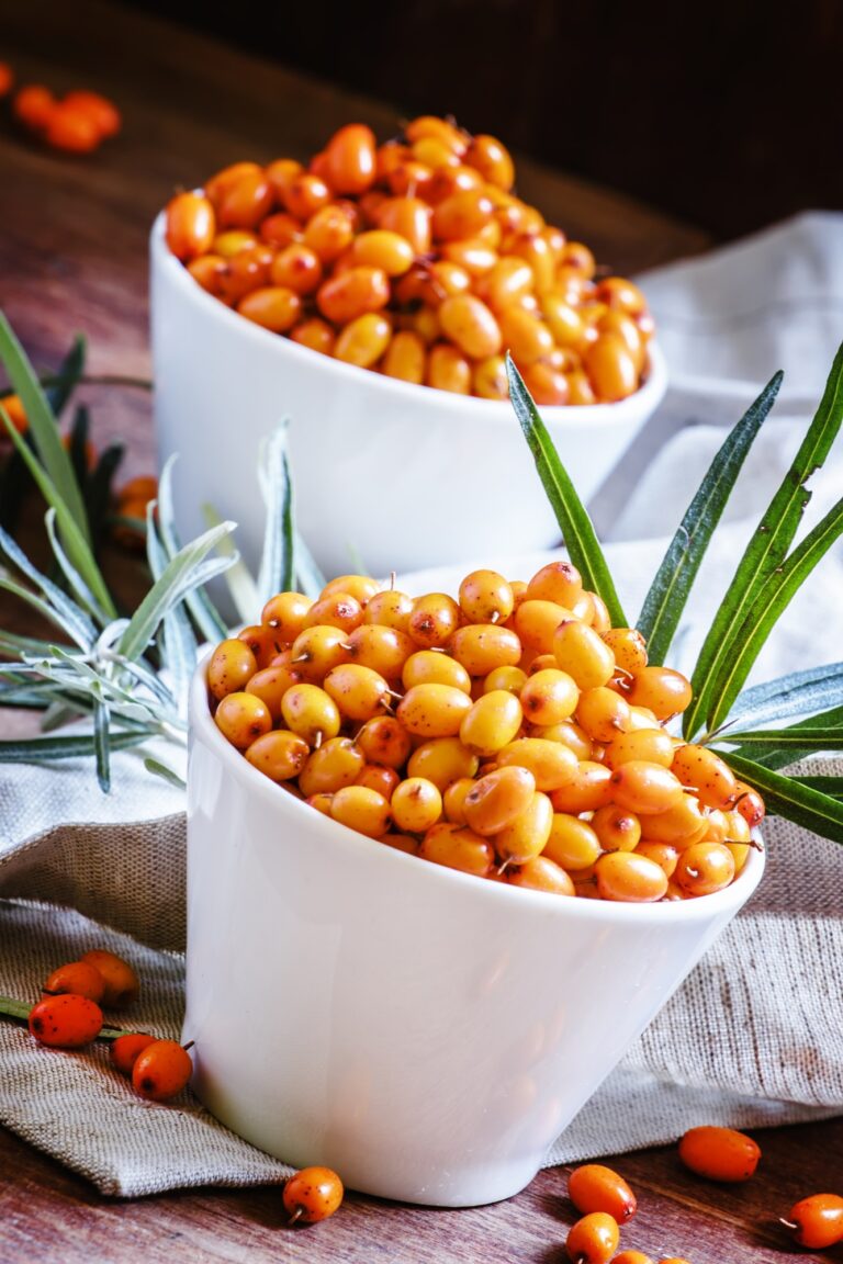 The Power of Sea Buckthorn Health Benefits, Uses, and Potential Side Effects